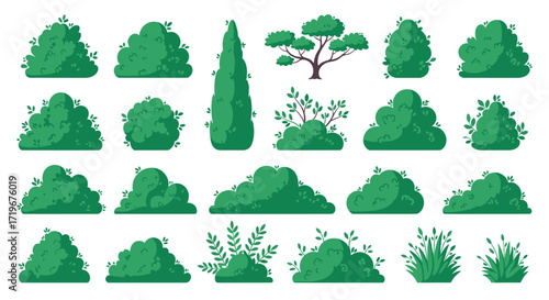 Collection of diverse green ornamental bushes and trees for landscape design.