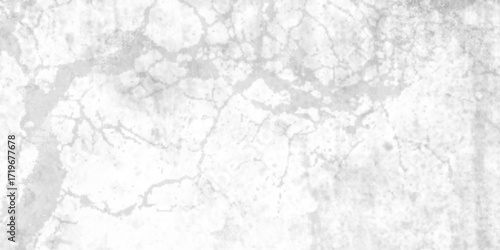 abstract elegant white marble texture background, detailed structure of marble in natural patterned for design, natural patterns for design art work, wall texture panoramic format.