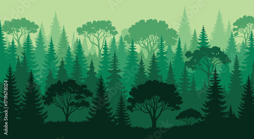 An endless vista of diverse green coniferous and deciduous trees stretching into the misty horizon. 