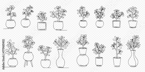 Collection of line art drawings depicting potted plants in various pots and vases.