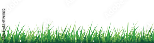 green grass border vector illustration isolated design
