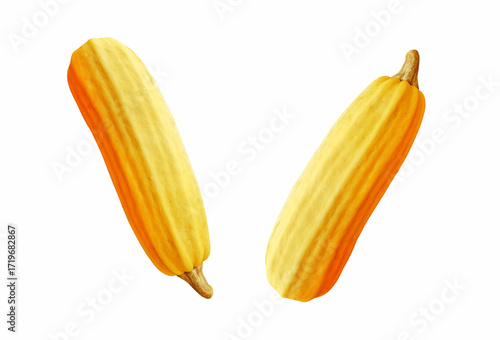 Big yellows ripe zucchini isolated on white background