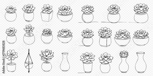 Collection of hand-drawn succulent plants in various pots and vases, arranged on a transparent background.