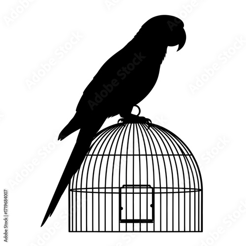 Parrot silhouette perched on a birdcage isolated on white background