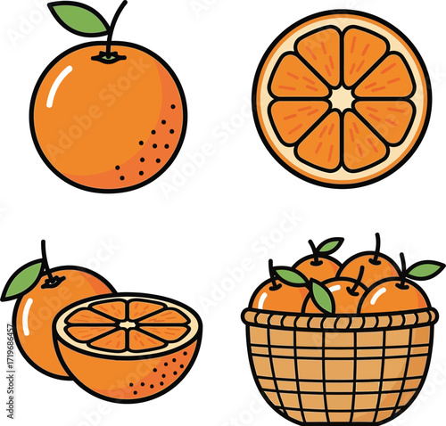 Vector art of orange fruit illustration