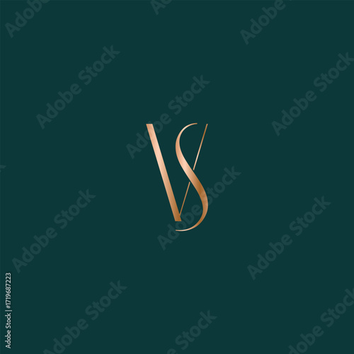 VS logo design. Vector illustration.