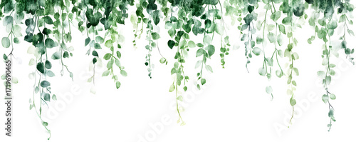 Hanging green leaves garland on transparent background, watercolor botanical vine decoration, natural foliage arrangement for decorative borders, isolated on white background, fresh elegant style