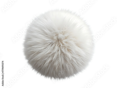Fluffy White Spherical Object with Fine Hairs Isolated ball round isolated on a transparent background