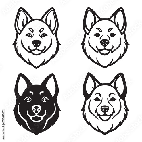 A Majestic and Dignified Akita, a Powerful Japanese Guardian Canine with a Thick Double Coat and a Distinctive Curled Tail, a Courageous and Loyal Companion