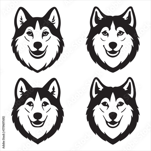 A Majestic Alaskan Malamute, a Powerful Sled Dog of the Arctic with Impressive Endurance, a Wolfa Like Canine with a Thick Bushy Tail and a Powerhouse Build