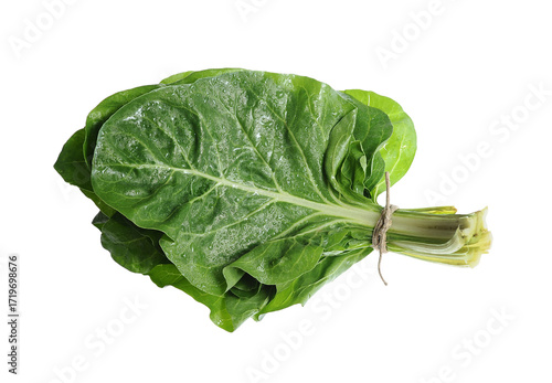 vibrant bunch of swiss chard leaf isolated on white background