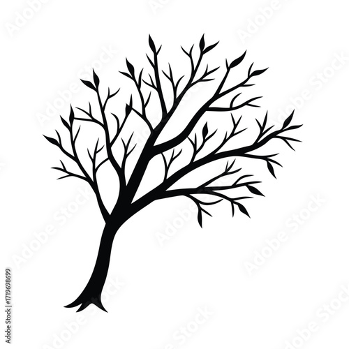 Papaya branch part silhouette vector illustration