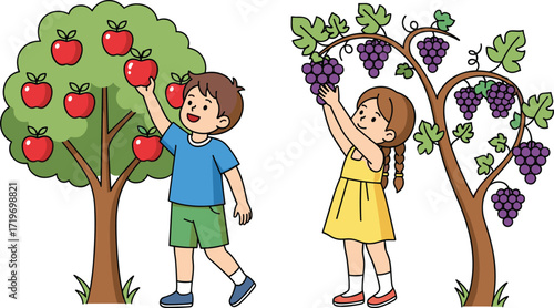Cartoon children harvesting apples and grapes from fruit trees, kids picking fresh fruits, outdoor farming activity, agriculture, healthy lifestyle illustration
