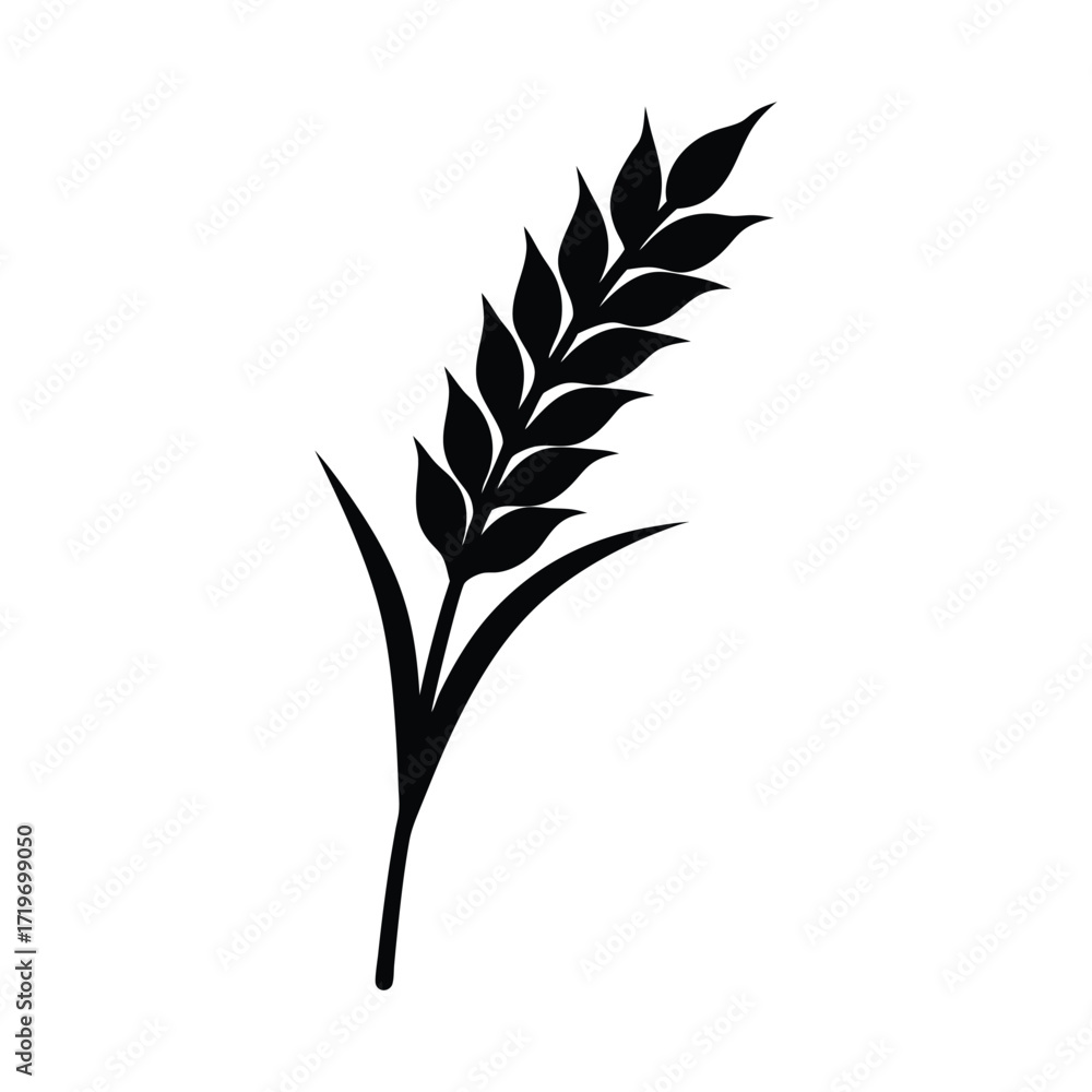 Fototapeta premium Papaya leaf branch silhouette vector illustration