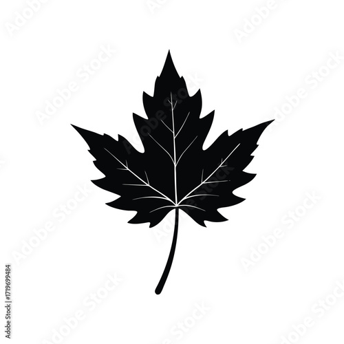 Mango branch part silhouette vector illustration