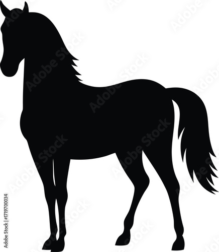 black horse vector illustration