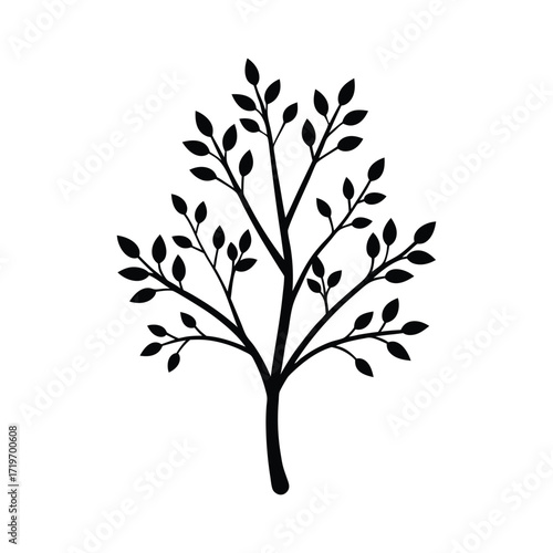 Tree branch part silhouette vector illustration