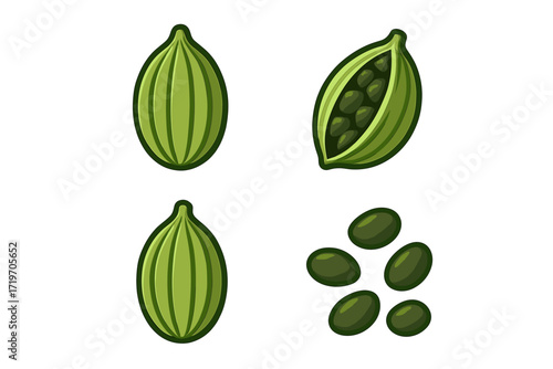 Green cardamom pods and seeds display in detailed vector style