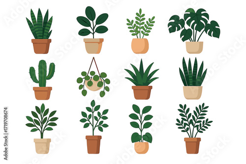 Collection of twelve diverse potted houseplants in stylish pots
