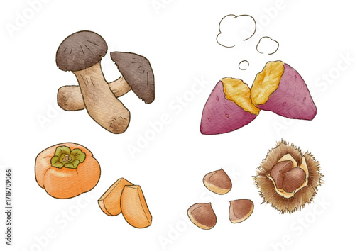 秋の季節を感じる旬の食べ物セット