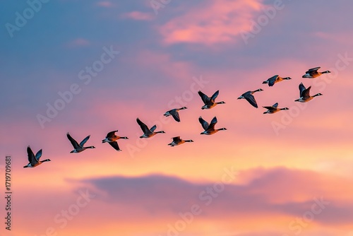 Wallpaper Mural Flock of birds flying at sunset Torontodigital.ca