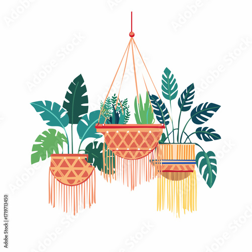 Hanging Macrame Planters with Tropical Plants