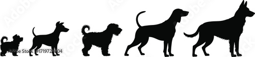Silhouette evolution of dog growth stages from puppy to adult, pet development, animal life cycle, domestic dogs, black profile illustration