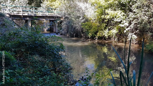 Au fil de l'eau à BELLEGARDE