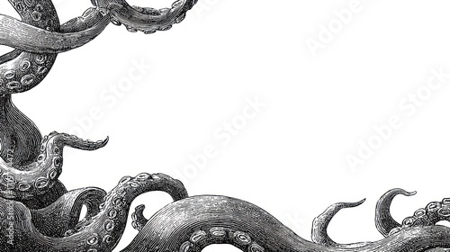 Intricate octopus tentacles frame