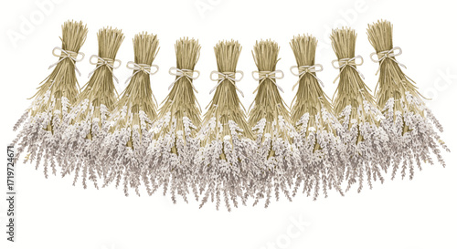 A row of tied bundles of twigs and dried plants arranged horizontally, displayed against a plain background, viewed from directly above, featuring 1666.eps elements
