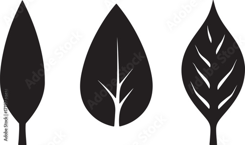 Abstract geometric shapes with vibrant color palette and text elements