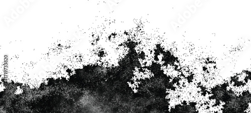 Abstract black and white fractal texture with organic ink blot pattern and granular dispersion on white background.