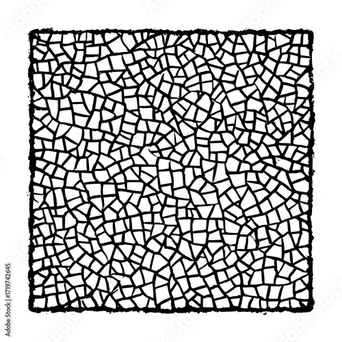 Black and white square grid pattern with irregular polygonal shapes forming a mosaic like structure