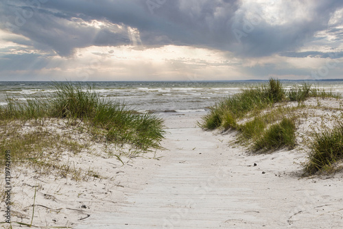 Fototapeta Naklejka Na Ścianę i Meble -  Baltic Sea Dune Path to Sandy Beach with Sea Grass and Dramatic Stormy Sky