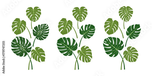 Tropical palm leaves monstera. Simple hand drawn flat vector. Composition of green leaves. Flying monstera leaves.