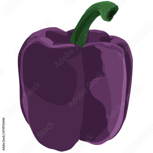 Minimalist purple bell pepper artwork, modern and elegant,A rare purple paprika vector illustration