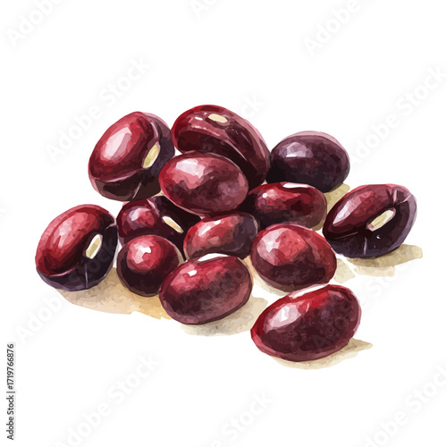A minimal layout, Watercolor painting of red adzuki beans, delicately hand-painted with artistic brush strokes, white background, vector EPS. vector illustration