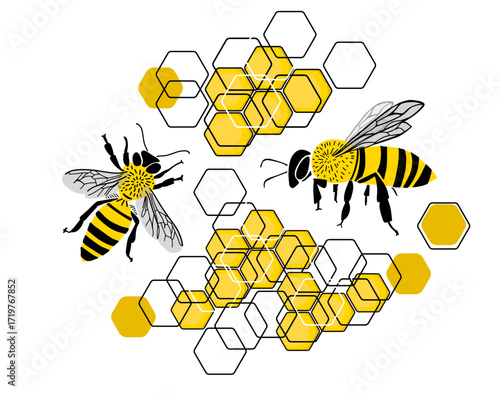 Bees and honeycombs, Bee Kids Vector, Honey Bee Vector, Bee Cartoon Image. hand drawn. Not AI, Vector illustration.