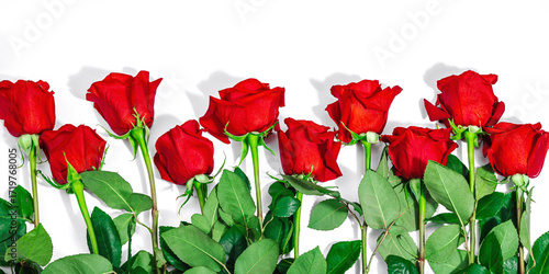 A bouquet of red roses on a white background. Blooming flowers, festive concept for Mother's Day