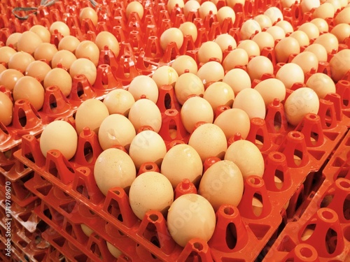 Chicken egg with various quality displayed on supermarket