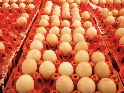 Chicken egg with various quality displayed on supermarket