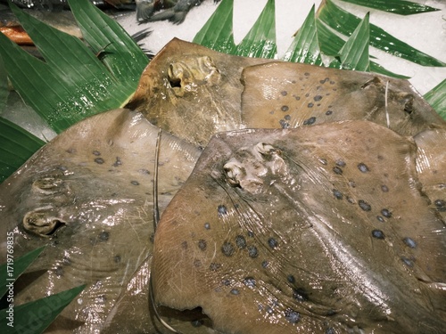 Manta stingray fish displayed for sale in supermarket