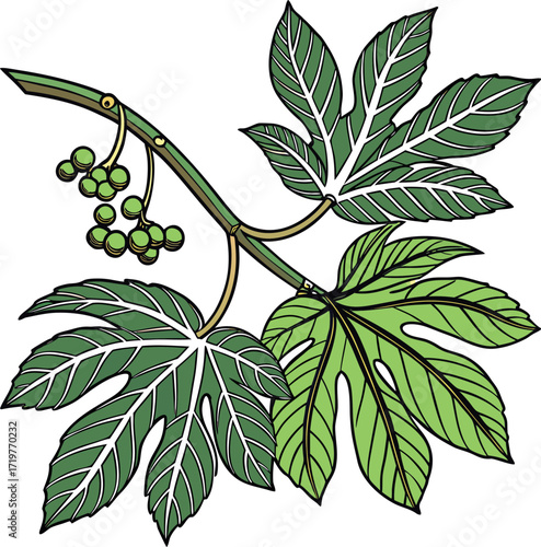 leaves