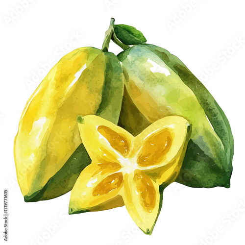 A minimal starfruit layout, Watercolor painting of carambola fruit, delicately hand-painted with artistic brush strokes, white background, vector EPS. vector illustration