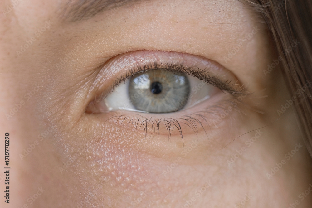 Obraz premium Human Woman Face extreme close up. Macro Shot of Feale Gray Eye. Vision. Healthy Eyesight Concept. Front view. Mature Adult Looking at Camera Blinking Eyelashes. Eye Opening Wide. Soft Selective Focus