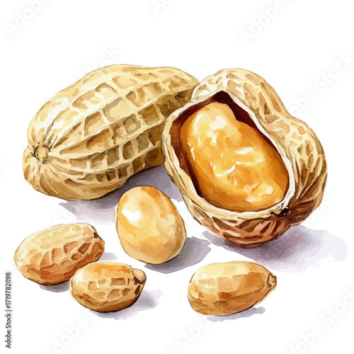 hand-drawn paint, Simple Illustration, A beautiful painting of peanut butter fruit, EPS format, isolated on a white background, watercolor style, minimal yet artistic elements for creative designs.