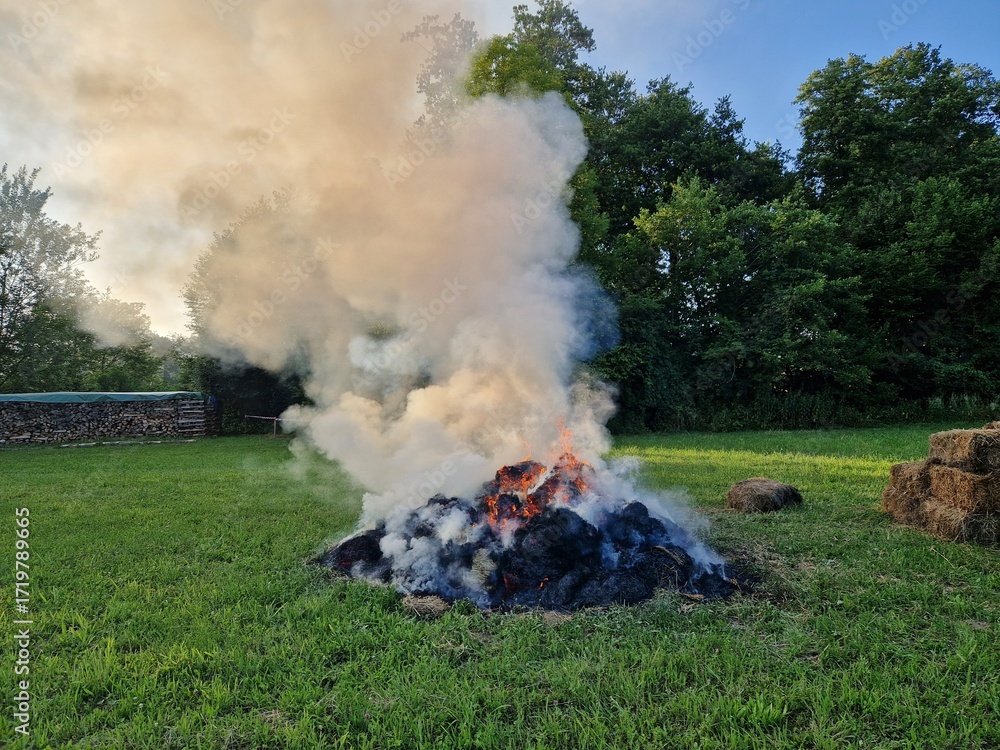 Fototapeta premium Stark qualmendes Lagerfeuer