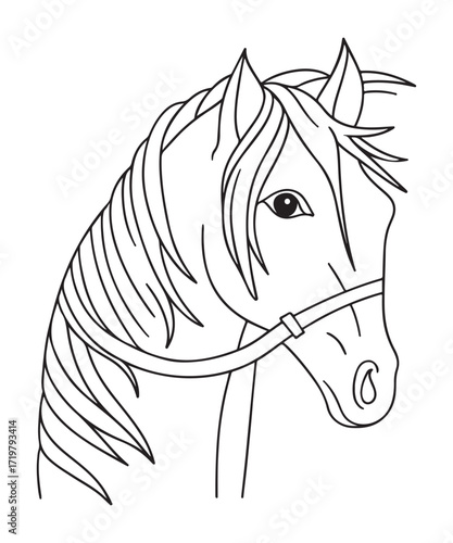 Horse Head Line Art Outline Drawing Illustration.