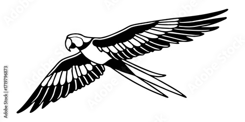 Illustration of flying parrot bird with wings in flight animal wildlife exotic tropical avian black and white art