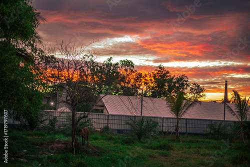 The background of the twilight sunset, the sky has beautiful changes, amidst the green fields and various trees, there is a cool breeze blowing throughout the journey to the viewpoint.